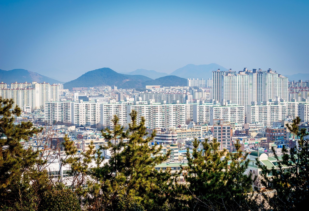 再度封城，2023年6月的挑战与深度思考