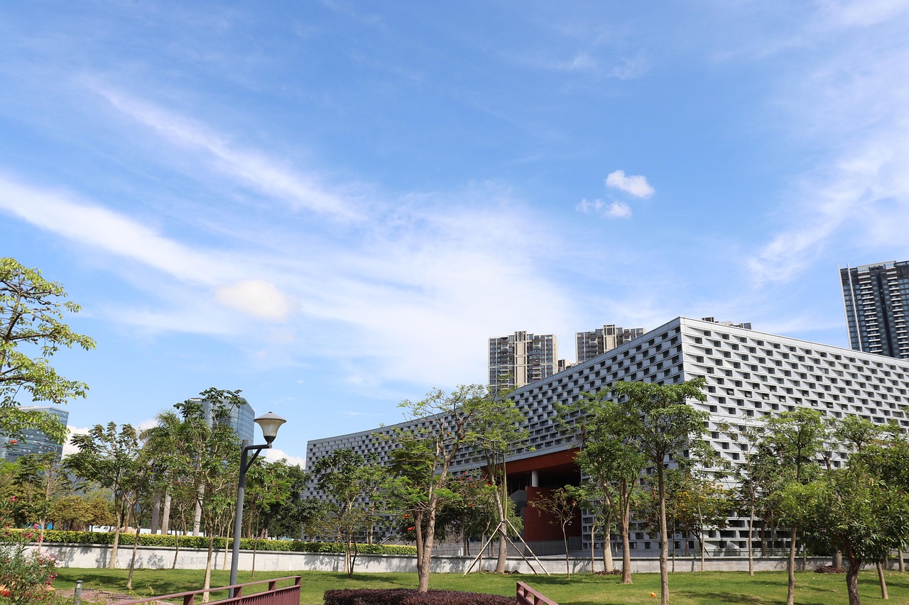 深圳专业建站公司，先锋力量引领数字化转型之道